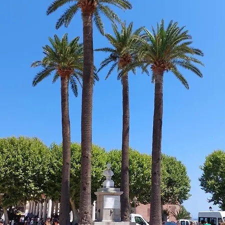 T4 Tres Bien Situe Et Climatise *